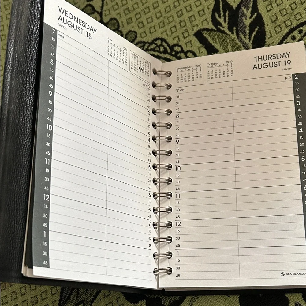 AT-A-GLANCE Black Planner 2010- 2011